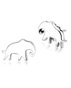 JCE3600 High polished (no plating) Stainless Steel Earrings with No Stone